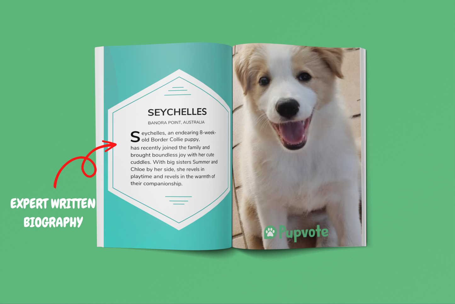 Meet the Cutest Pets of Pupvote in the 2025 Photobook