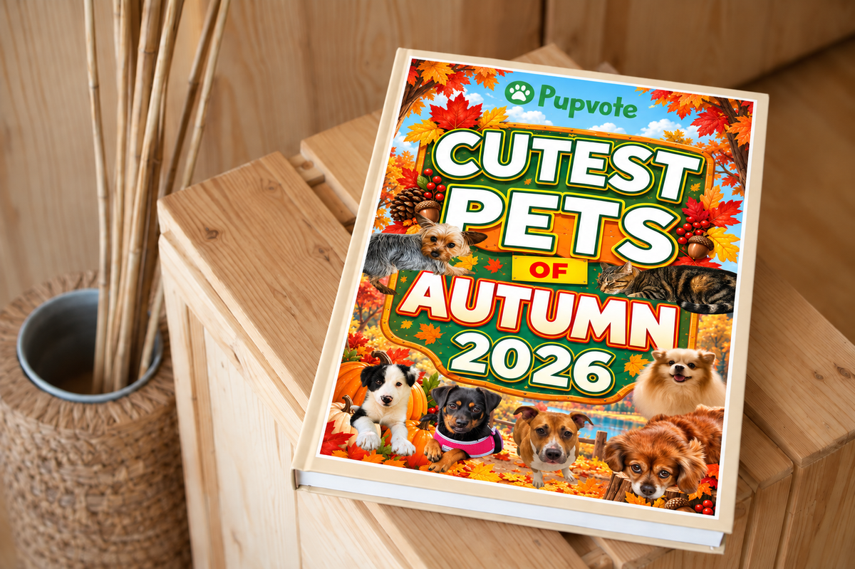 Cutest Pets of Pupvote Autumn 2026