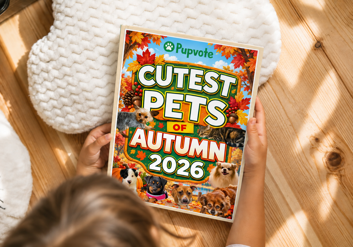 Cutest Pets of Pupvote Autumn 2026