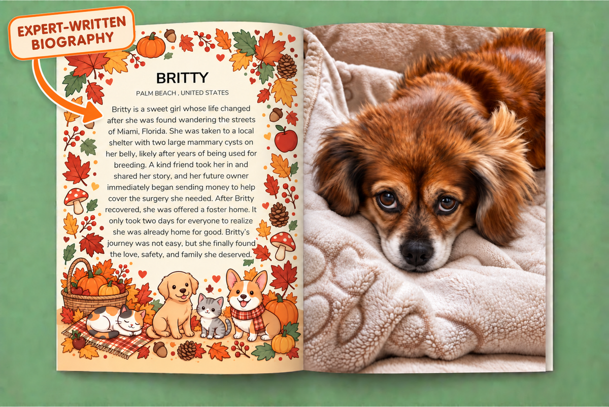 Cutest Pets of Pupvote Autumn 2026