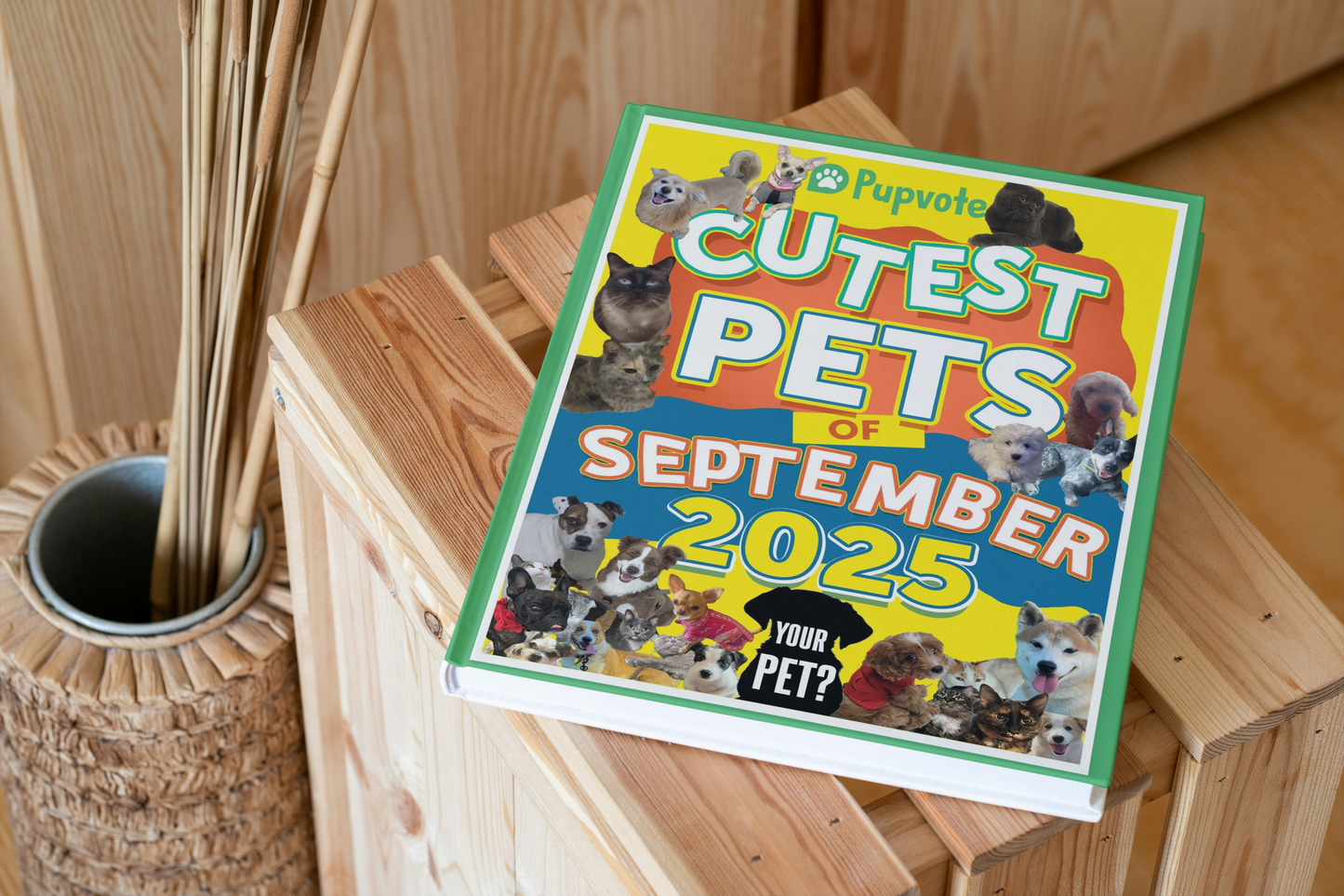 Cutest Pets of the Month 2025 Photobook