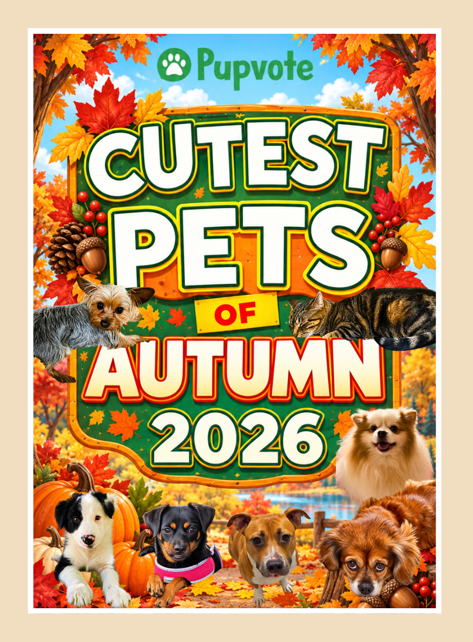 Cutest Pets of Pupvote Autumn 2026