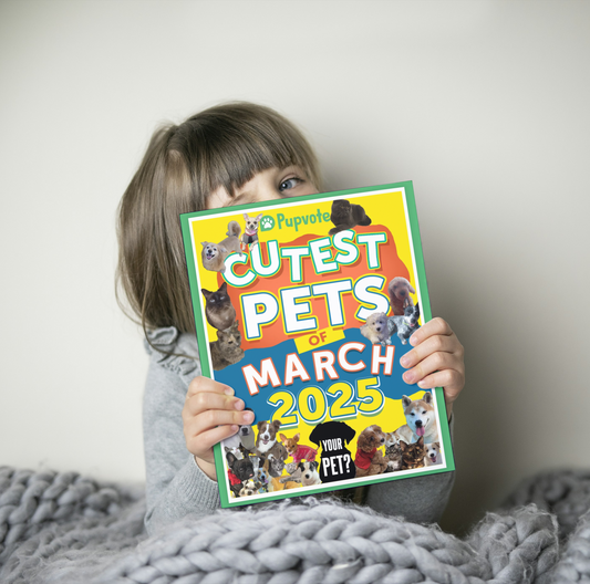 Cutest Pets of the Month 2025 Photobook