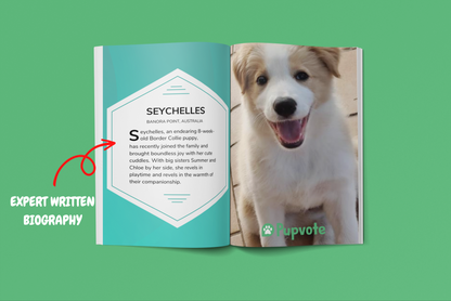 Cutest Pets of the Month 2023 Photobook